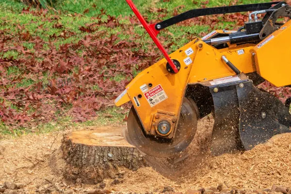 stump grinding