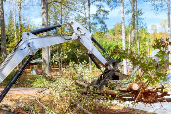 tree debris removal