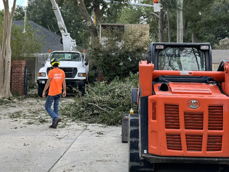 tree pruning in baton rouge la
