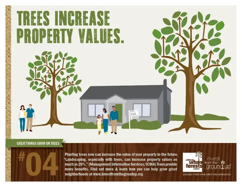 trees increase property values infographic