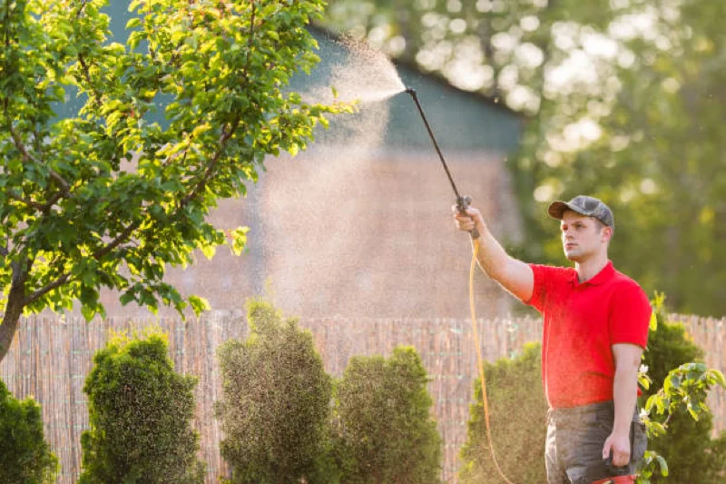 tree fertilization technician applying