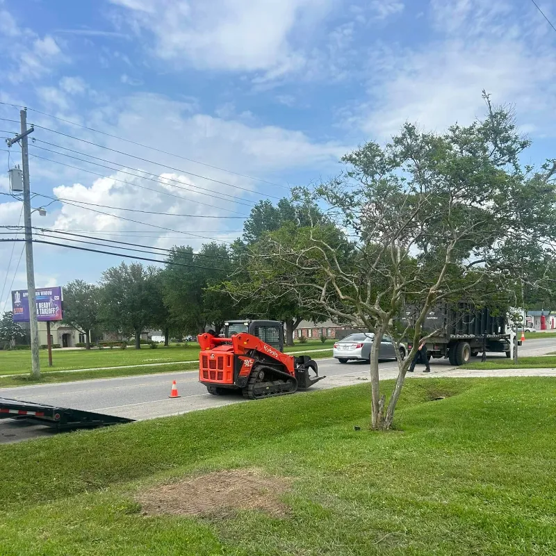 american forestry services tree after getting cut down