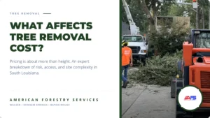 tree removal cost walker baton rouge featured