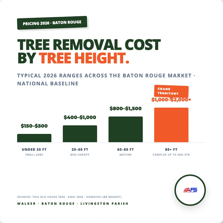 Tree removal cost by tree height in Baton Rouge, Under 30 ft $150-$500, 30-60 ft $400-$1,000, 60-80 ft $800-$1,500, 80+ ft $1,000-$2,000+ with crane jobs reaching $6,000-$7,000