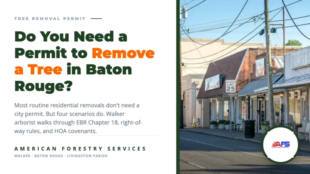tree removal permit baton rouge featured