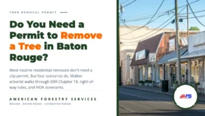 tree removal permit baton rouge featured