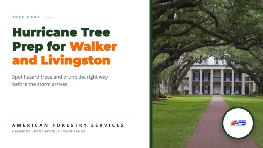Hurricane tree prep for Walker and Livingston Parish. American Forestry Services.